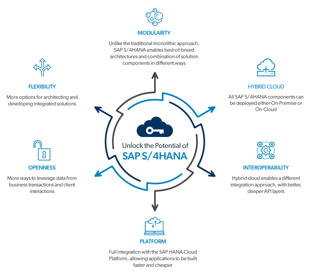 Unlock the Potential of SAP S/4Hana